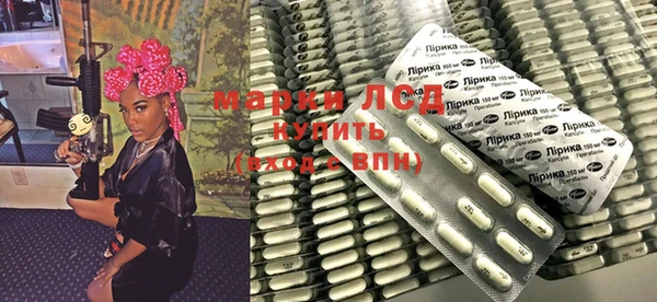 шишки Аркадак