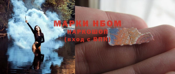 шишки Аркадак