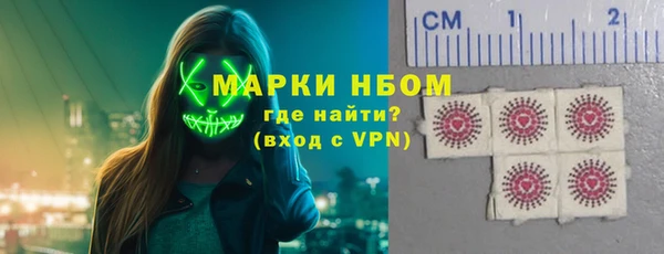 шишки Аркадак