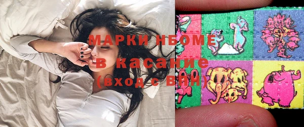 шишки Аркадак
