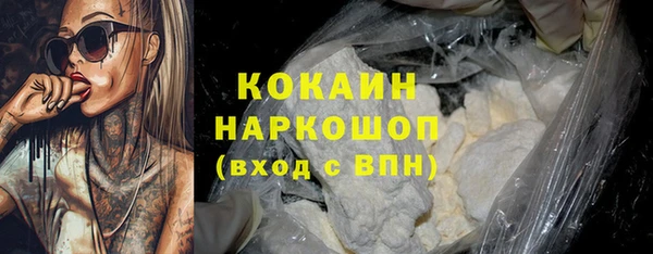 шишки Аркадак