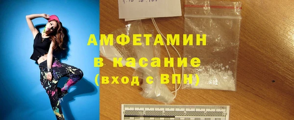 шишки Аркадак