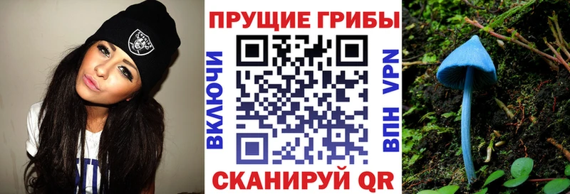 Псилоцибиновые грибы Psilocybine cubensis Поронайск